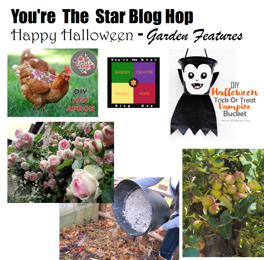 You’re The Star Blog Hop – Happy Halloween – Garden Features