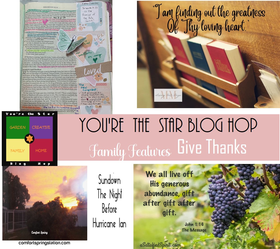 You’re The Star Blog Hop – Give Thanks
