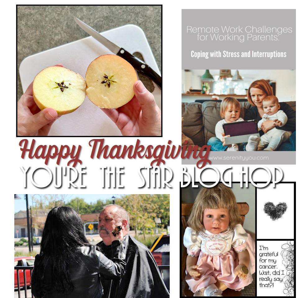 You’re The Star Blog Hop – Happy Thanksgiving