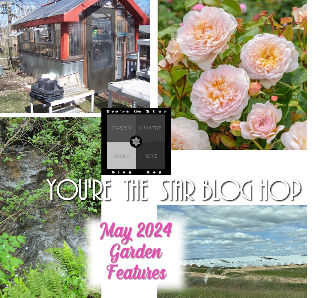 You’re The Star Blog Hop – May  2024 Garden Features